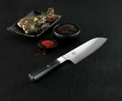 Miyabi 4000FC Santoku 18 Cm, 33957-181 17 Miyabi 4000FC Santoku 18 Cm, 33957-181 -KNIVESANDTOOLS Ventas 4000FC2
