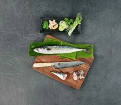Miyabi By Zwilling 5000MCD Gyutoh, 34373-241 -KNIVESANDTOOLS Ventas 5000MCD1