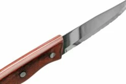 Amefa Hercule XXL 4917 Cuchillos De Madera Pakka Rojo 4 Piezas 11 Amefa Hercule XXL 4917 Cuchillos De Madera Pakka Rojo 4 Piezas -KNIVESANDTOOLS Ventas AM491715NT07SK8 05 amefa