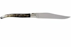Laguiole En Aubrac Juego De Cuchillos Para Carne 6-unidades De Cuerno Mixto, 62C99CKI -KNIVESANDTOOLS Ventas AU62C99CKI 04 laguiole en aubrac au62c99cki 04