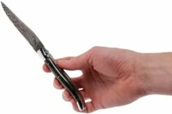 Laguiole En Aubrac 12 Cm Navaja Damascata, Full Handle Cuerno L0712PCI-FFI1 -KNIVESANDTOOLS Ventas AUL0712PCI FFI1 08 laguiole en aubrac aul0712pci ffi1 08
