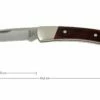 Buck 503 Prince 0503RWS-B, Palisandro 2 Buck 503 Prince 0503RWS-B, Palisandro -KNIVESANDTOOLS Ventas BUCK0503RWS B 01 buck 503 prince knife buck0503rws b 01