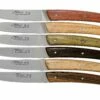 Claude Dozorme Le Thiers Juego De Cuchillos Para Carne 6-piezas, Diferentes Tipos De Madera