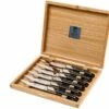 Claude Dozorme Le Thiers Juego De Cuchillos Para Carne 6-unidades, Madera De ébano -KNIVESANDTOOLS Ventas CD5 90 001 70MI 01 claude dozorme cd5 90 001 70mi 01