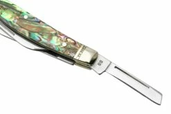 Case Small Congress 12026 Smooth Abalone, Navaja Con Velvet Box -KNIVESANDTOOLS Ventas CE12026 04 case