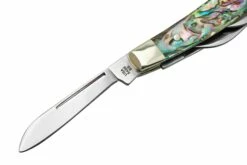 Case Small Congress 12026 Smooth Abalone, Navaja Con Velvet Box -KNIVESANDTOOLS Ventas CE12026 05 case