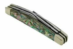 Case Small Congress 12026 Smooth Abalone, Navaja Con Velvet Box -KNIVESANDTOOLS Ventas CE12026 06 case