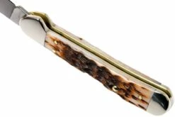 Case Mini Copperlock Amber Jigged Bone, 00133, 61749L SS Navaja 15 Case Mini Copperlock Amber Jigged Bone, 00133, 61749L SS Navaja -KNIVESANDTOOLS Ventas CE133 06 case ce133 06