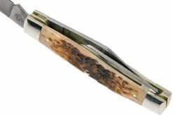 Case Large Stockman Amber Jigged Bone, 00204, 6375 CV Navaja -KNIVESANDTOOLS Ventas CE204 08 case ce204 08