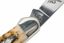 Case Canoe Amber Jigged Bone, 00263, 62131 CV Navaja -KNIVESANDTOOLS Ventas CE263 07 case ce263 07