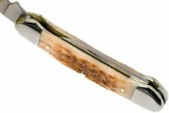 Case Canoe Amber Jigged Bone, 00263, 62131 CV Navaja -KNIVESANDTOOLS Ventas CE263 08 case ce263 08