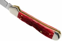 Case Copperhead Dark Red Bone, Peach Seed Jig, 31954, 61749L CV Navaja -KNIVESANDTOOLS Ventas CE31954 05 case