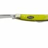 Case Small Congress 53032 Green Apple Bone, Navaja 1 Case Small Congress 53032 Green Apple Bone, Navaja -KNIVESANDTOOLS Ventas CE53032 01 case