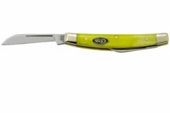 Case Small Congress 53032 Green Apple Bone, Navaja