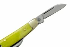 Case Small Congress 53032 Green Apple Bone, Navaja -KNIVESANDTOOLS Ventas CE53032 04 case