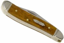 Case Peanut Smooth Antique Bone 58201, 6220 SS Navaja -KNIVESANDTOOLS Ventas CE58201 04 case
