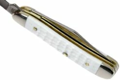 Case Peanut SparXX White Synthetic, 60188, 6220 SS Navaja 19 Case Peanut SparXX White Synthetic, 60188, 6220 SS Navaja -KNIVESANDTOOLS Ventas CE60188 08 case ce60188 08