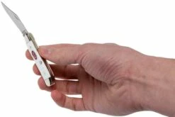 Case Peanut SparXX White Synthetic, 60188, 6220 SS Navaja 21 Case Peanut SparXX White Synthetic, 60188, 6220 SS Navaja -KNIVESANDTOOLS Ventas CE60188 10 case ce60188 10