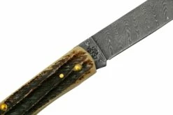 Case Sod Buser Jr 77461 Damascus Vintage Bone, Navaja -KNIVESANDTOOLS Ventas CE77461 05 case