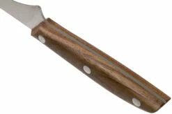 Due Cigni 1896, 2C1012NO Cuchillo Para Filetear 18 Cm, Madera De Nogal -KNIVESANDTOOLS Ventas DG2C1012NO 04 due signi 1896