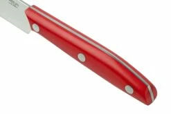 Due Cigni 1896 America 2C1019RSET6, Juego De Cuchillos Para Carne De 6 Piezas, Rojo -KNIVESANDTOOLS Ventas DG2C1019RSET6 05 duecigni