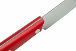 Due Cigni 1896 America 2C1019RSET6, Juego De Cuchillos Para Carne De 6 Piezas, Rojo -KNIVESANDTOOLS Ventas DG2C1019RSET6 06 duecigni