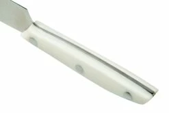 Due Cigni 1896 America 2C1019WSET6, Juego De Cuchillos Para Carne De 6 Piezas, Blanco -KNIVESANDTOOLS Ventas DG2C1019WSET6 04 duecigni