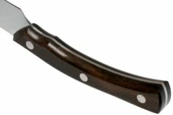 Due Cigni Arne Line Cuchillo Para Carne 11 Cm, Ziricote 11 Due Cigni Arne Line Cuchillo Para Carne 11 Cm, Ziricote -KNIVESANDTOOLS Ventas DG2C900ZW 04 due cigni arne