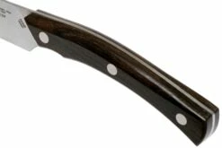 Due Cigni Arne Line Cuchillo Para Carne 11 Cm, Ziricote 12 Due Cigni Arne Line Cuchillo Para Carne 11 Cm, Ziricote -KNIVESANDTOOLS Ventas DG2C900ZW 05 due cigni arne