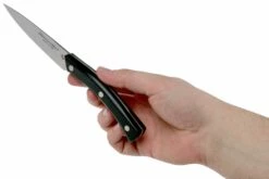 Due Cigni Arne Line Cuchillo Para Pelar 10 Cm, Negro -KNIVESANDTOOLS Ventas DG2C901 06 due cigni arne