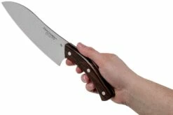 Due Cigni Arne Line Santoku 19 Cm, Ziricote -KNIVESANDTOOLS Ventas DG2C904ZW 06 due cigni arne