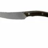 Due Cigni Arne Line Cuchillo Dentado Para Carne 11 Cm, Zircote