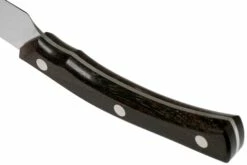 Due Cigni Arne Line Cuchillo Dentado Para Carne 11 Cm, Zircote 11 Due Cigni Arne Line Cuchillo Dentado Para Carne 11 Cm, Zircote -KNIVESANDTOOLS Ventas DG2C907ZW 04 due cigni arne