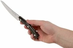 Due Cigni Arne Line Cuchillo Dentado Para Carne 11 Cm, Zircote 13 Due Cigni Arne Line Cuchillo Dentado Para Carne 11 Cm, Zircote -KNIVESANDTOOLS Ventas DG2C907ZW 06 due cigni arne