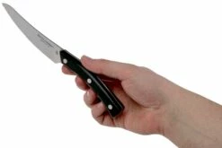 Due Cigni Arne Line Cuchillo Dentado Para Carne 11 Cm, Negro -KNIVESANDTOOLS Ventas DG2C907 06 due cigni arne