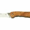 Fox Knives Spora Mushroom Satin Olive FX-409OL, Cuchillo Para Setas -KNIVESANDTOOLS Ventas FOFX 409OL 01 foxknives