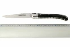 Fontenille Pataud L9PCNTG Le Pocket Negro Buffel -KNIVESANDTOOLS Ventas FPL9PCNTG 05 fontenille pataud fpl9pcntg d5