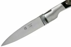 Fontenille Pataud Corsican 'Sperone', Cuerno De Búfalo Crudo S1BB -KNIVESANDTOOLS Ventas FPS1BB 03 fontenille pataud v201905