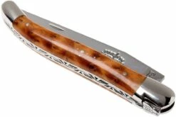 Forge Laguiole 1211INTHBRI, Ciprés De Cartagena 12 Forge Laguiole 1211INTHBRI, Ciprés De Cartagena -KNIVESANDTOOLS Ventas LA1211INTHBRI 04 forge de laguiole la1211inthbri 04