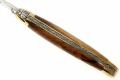 Forge Laguiole 1211PI, Madera De Pistache -KNIVESANDTOOLS Ventas LA1211PI 04 forge de laguiole vouwmes la1211pi d4