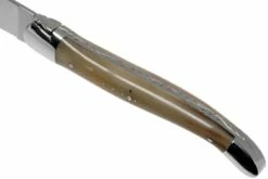 Forge De Laguiole T22MINBC Juego De Cuchillos Para Carne De Cuerno Pulido De 2 Piezas -KNIVESANDTOOLS Ventas LAT22MINBC 05 forge de laguiole