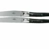 Forge De Laguiole T22MINBF Juego De Cuchillos Para Carne De Cuerno Pulido De 2 Piezas -KNIVESANDTOOLS Ventas LAT22MINBF 01 forge de laguiole
