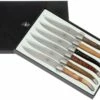 Forge Laguiole, T62MINBOISSAT, Afieltrado, 6 Tipos De Madera -KNIVESANDTOOLS Ventas LAT62MINBOISSAT 01 forge de laguiole steakmesset lat62minboissat 01