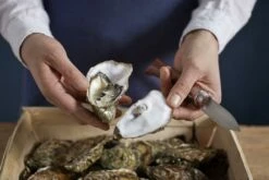 Opinel Cuchillo De Ostras N°09 -KNIVESANDTOOLS Ventas OP001616 07 opinel oestermes op001616 08