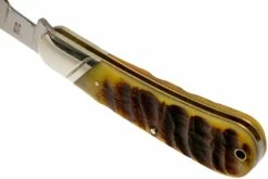 Rough Ryder Ram’s Horn Bone Cotton Sampler RR1594 Navaja -KNIVESANDTOOLS Ventas RY1594 05 rough ryder