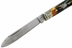 Rough Ryder Doctors Knife Cinnamon Stag RR2158 Damascus Navaja Slipjoint -KNIVESANDTOOLS Ventas RY2158 03 rough ryder