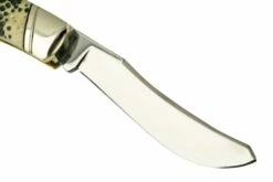 Rough Ryder Buckshot Bone Large Moose, RR2320 Navaja -KNIVESANDTOOLS Ventas RY2320 03 roughryder