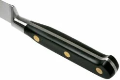 Lion Sabatier Idéal Cuchillo Puntilla 10 Cm, 711080 -KNIVESANDTOOLS Ventas SA1372 04 04 lion sabatier v202006