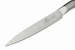 Lion Sabatier International Mon Bloc III, 662680 Bloque De Cuchillos Con Cuatro Cuchillos -KNIVESANDTOOLS Ventas SA662680 07 lionsabatier