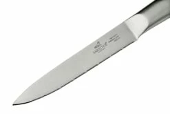 Lion Sabatier International Mon Bloc III, 662680 Bloque De Cuchillos Con Cuatro Cuchillos -KNIVESANDTOOLS Ventas SA662680 08 lionsabatier